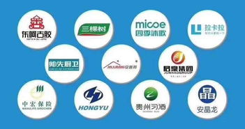 如何在眾多大數據營銷公司中慧眼識珠？選擇靠譜服務商的全面指南